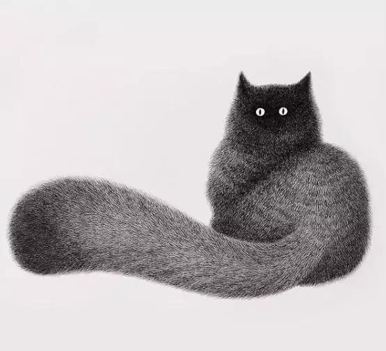 她用2元针管笔作画便惊艳了世界,他用粉笔画了一只猫