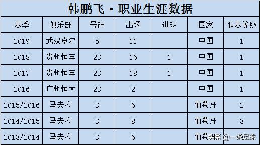 韩鹏飞武汉卓尔比赛,武汉韩鹏飞