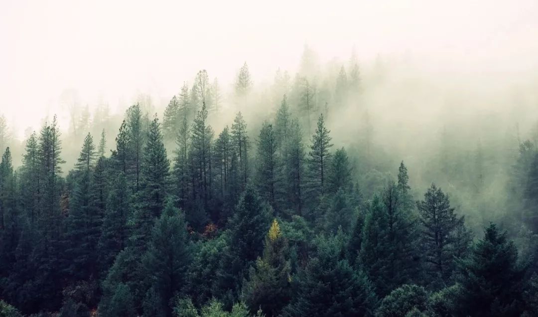 领导绝不会告诉你的六件事,领导绝不告诉你的六件事