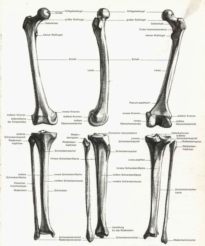 腿部的画法古风,腿部的画法板绘