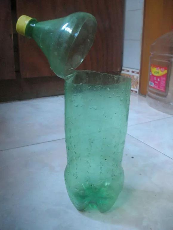 室内用塑料瓶扦插生根最快方法,瓶子装水养花