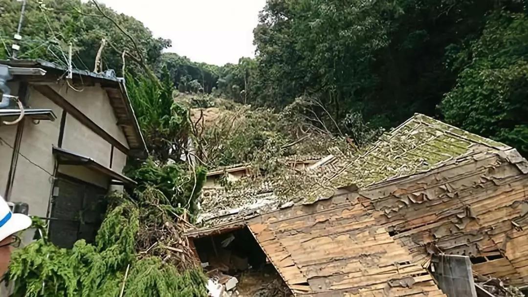 深圳暴雨导致多少人死亡,深圳暴雨11人遇难怎么看