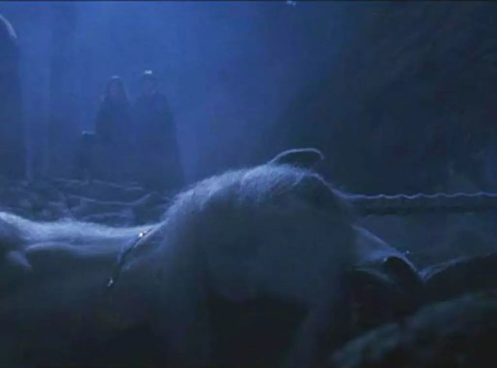 英国与苏格兰旅游,英国苏格兰旅行