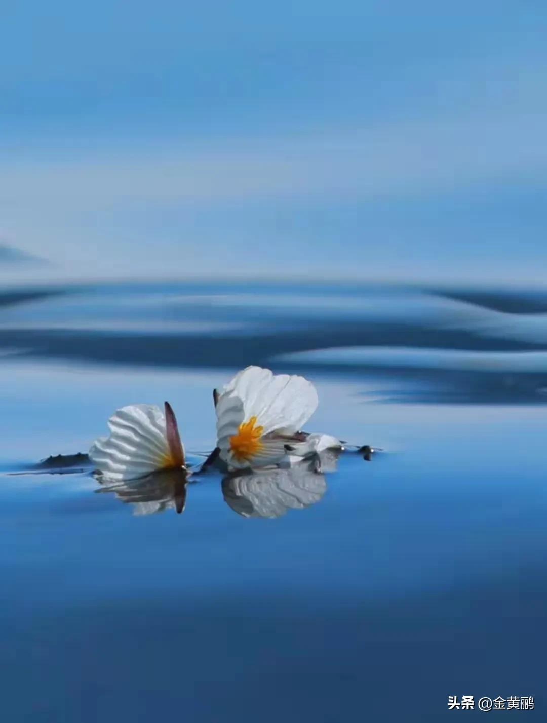 为什么云南女人长相好看,云南真的很漂亮吗