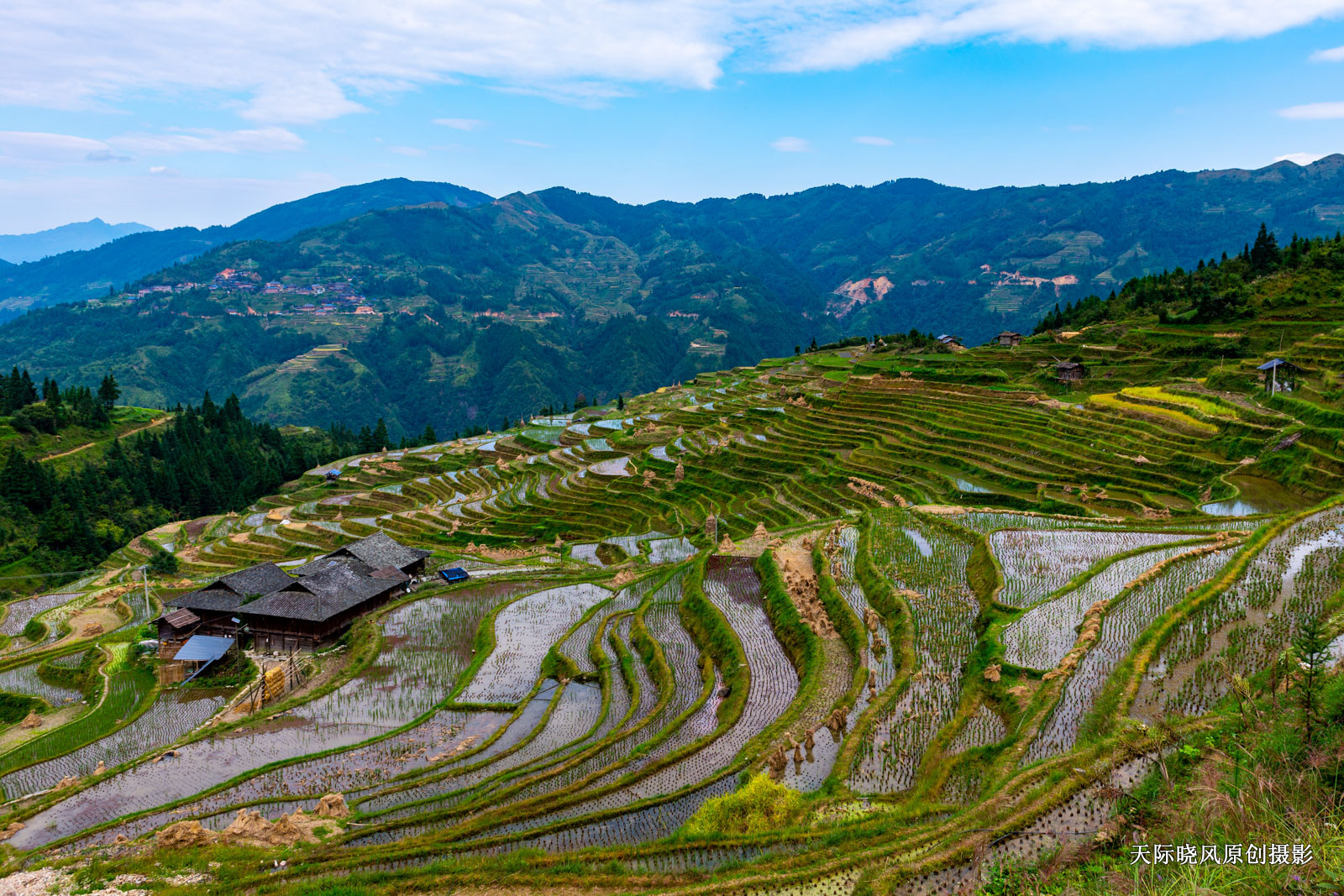 贵州加榜梯田简介,加榜梯田苗族完整版