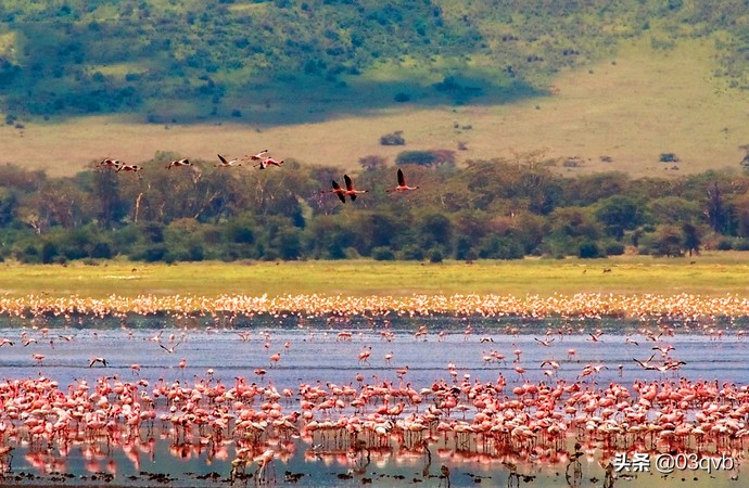 鏈涙棤杈归檯鐨勬捣,鏈涙棤杈归檯