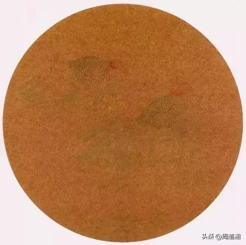 金鱼工笔画法图文教程你学会了吗,工笔画金鱼画法示范简单好学