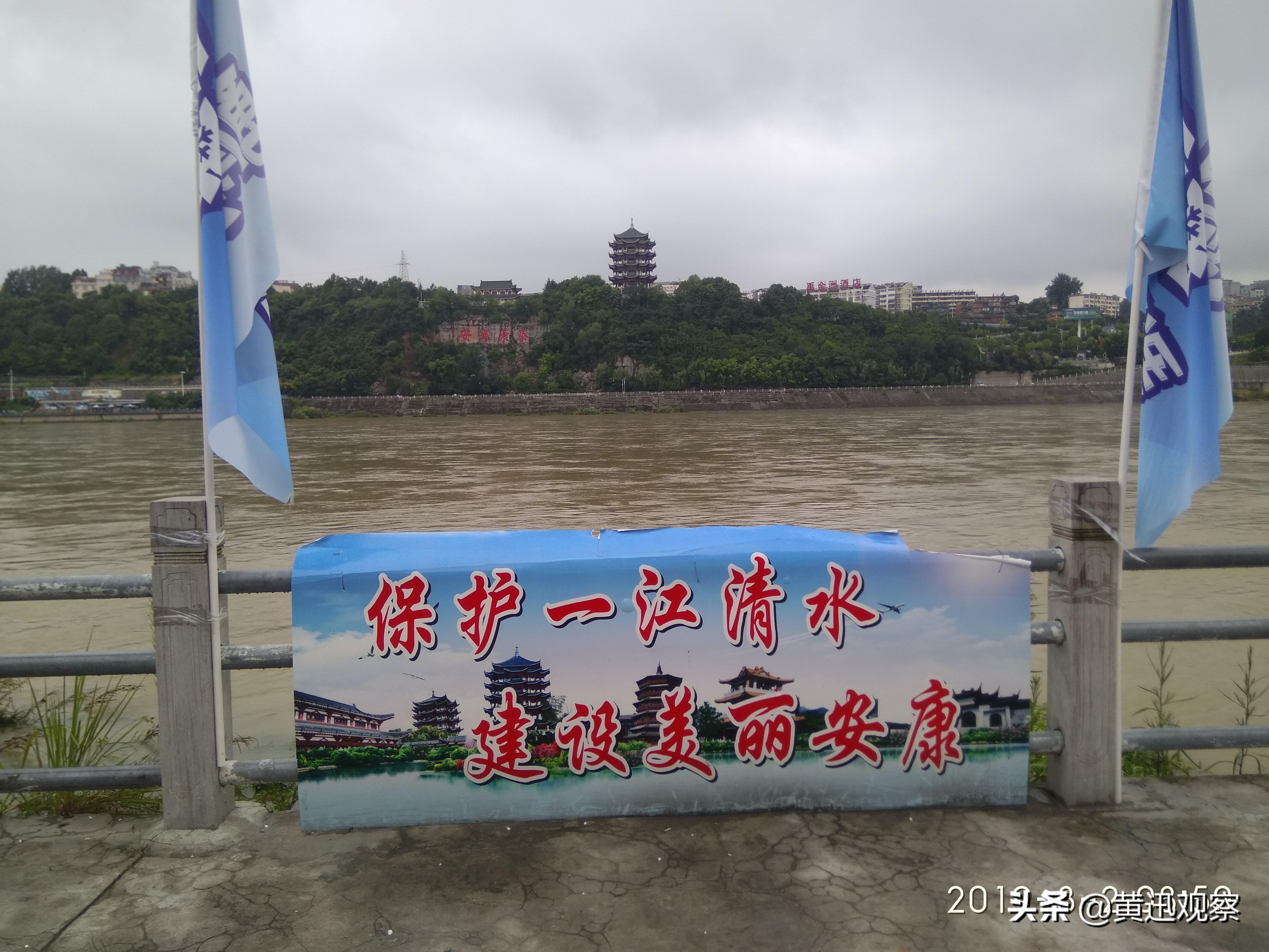 人蛇共舞综艺,人蛇共舞视频