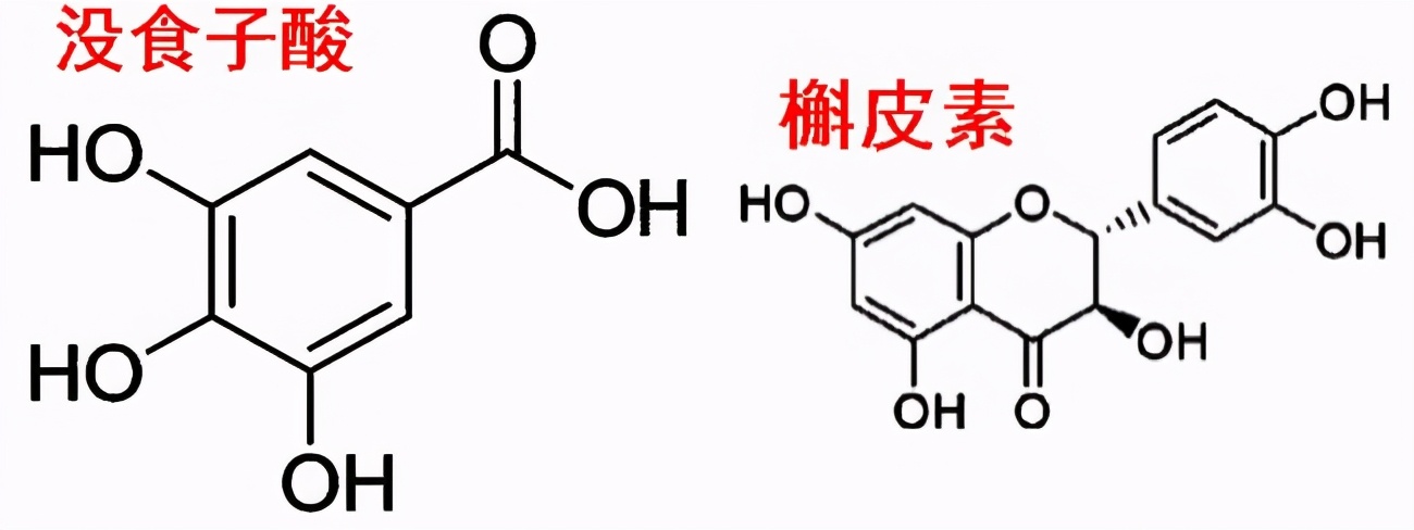 赶黄草喝酒,喝酒了能不能喝赶黄草