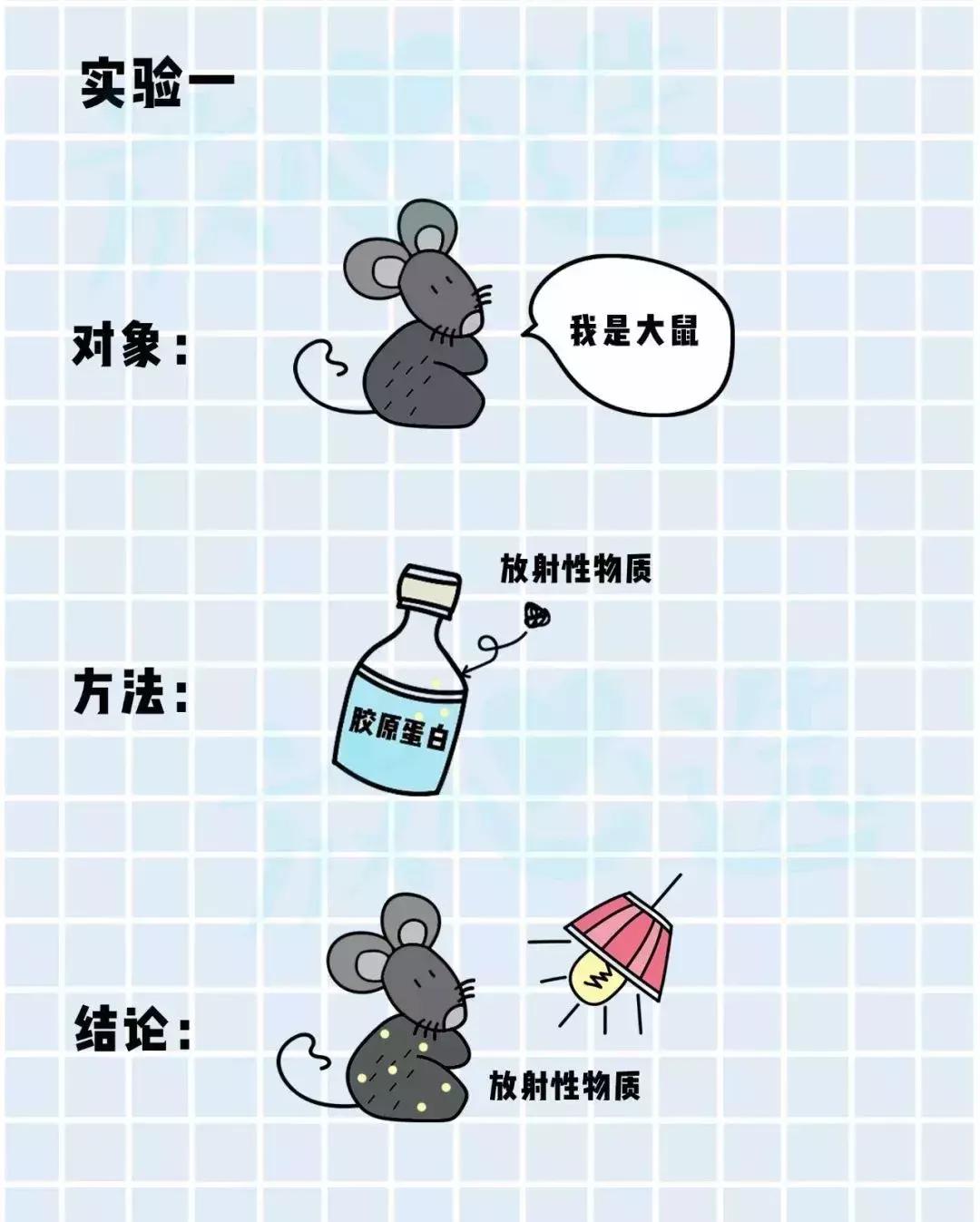 口服的胶原蛋白肽有用没,口服胶原蛋白好用吗