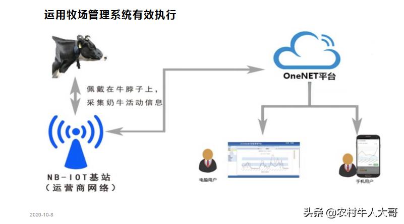 奶牛产后子宫净化保健实施方案ppT课件