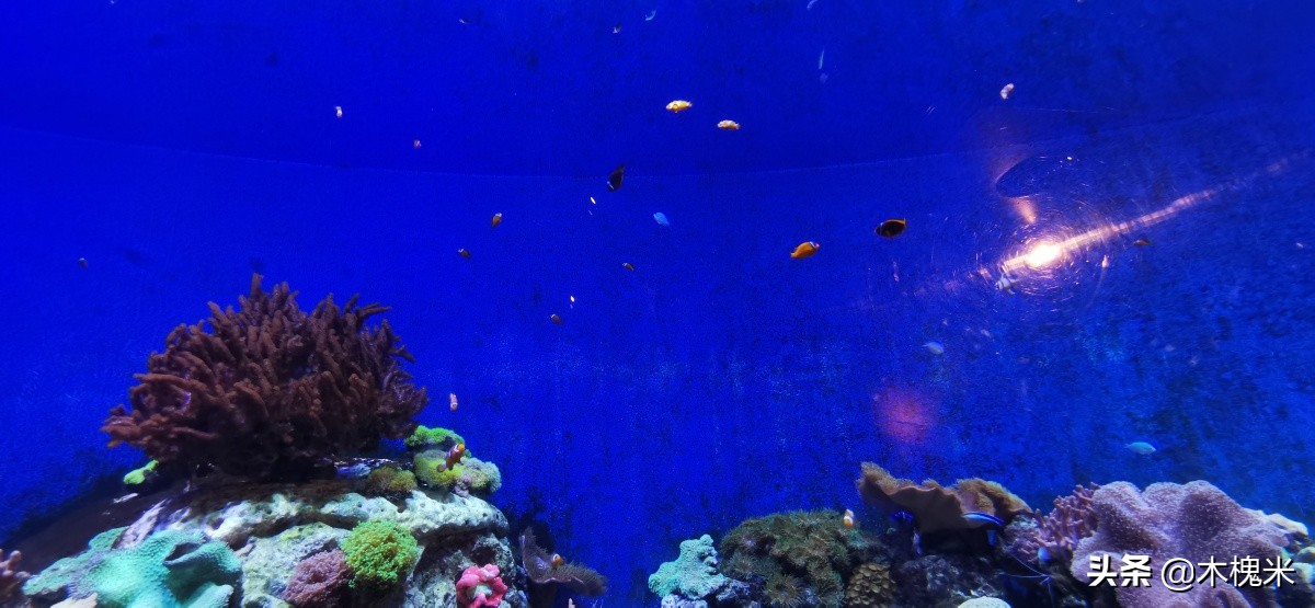 珠海长隆附近美食,珠海长隆海洋王国海底世界