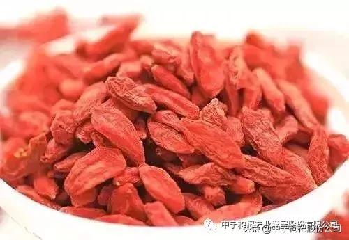 中药文化精粹,东方神草枸杞子