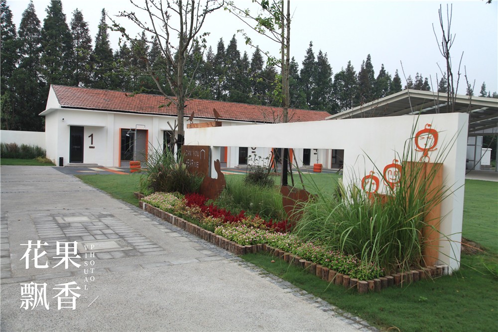 卖文化，卖创意，这家以柑橘为主题的农场好不正经