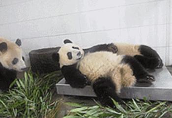 6年130场爬楼大赛，他为何要与地心引力做对抗？