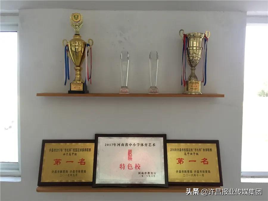 培养出50多个国家一级运动员,河南省5年将培育300名中原名师