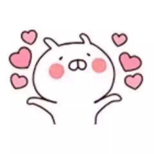 中国最好吃的鱼翅是什么,野生即食鱼翅