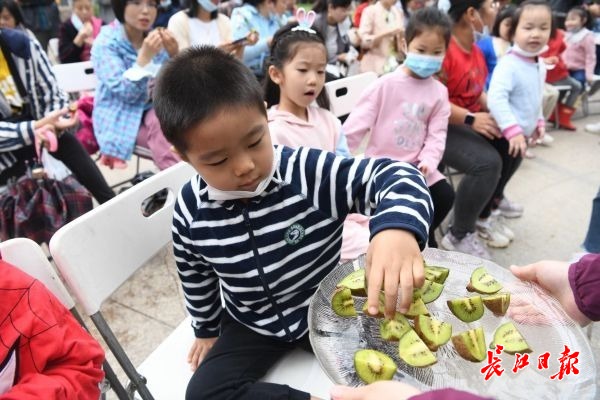 正宗翠香绿心新鲜猕猴桃,武汉植物园选育猕猴桃