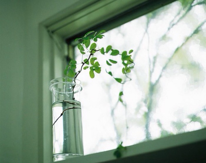 当你度过了人生中最艰巨的日子,生命中最绝望的日子都是怎么过的