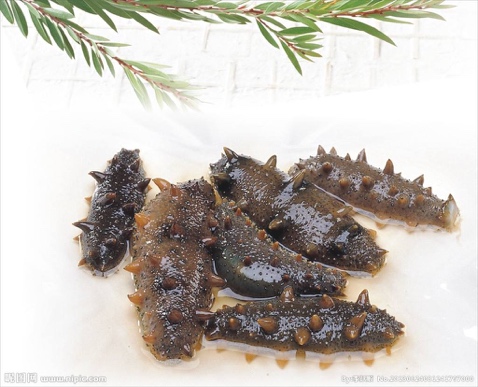 备孕提高小蝌蚪质量药物,备孕期间如何提高小蝌蚪的质量