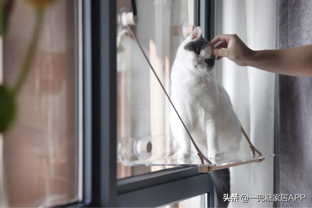 家居必备的100种好物,生活中常见的家居好物推荐