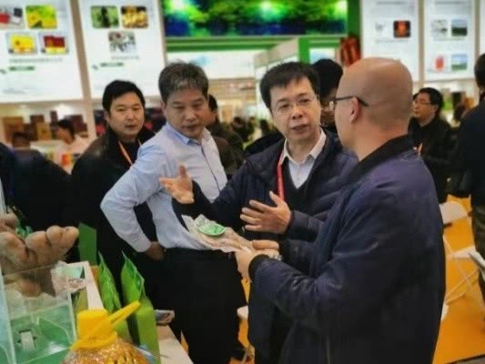 武穴佛手山药几月份才有卖,武穴山药博览会