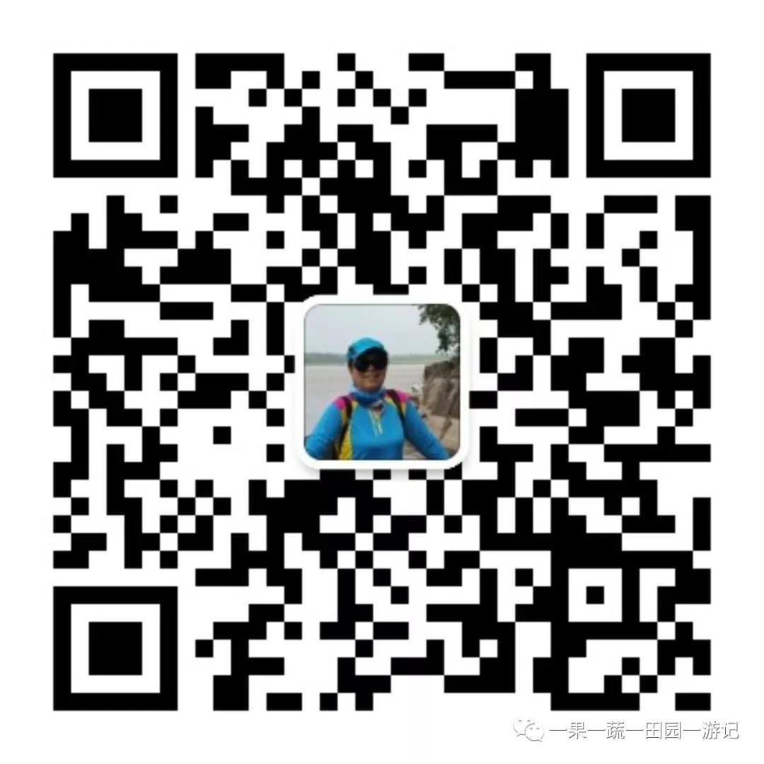 百香果果汁如何调配,石榴百香果苹果果汁