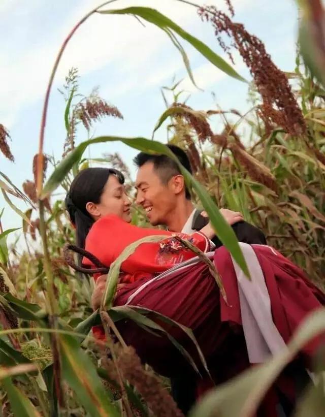 高粱全世界都有吗,各种高粱的认识