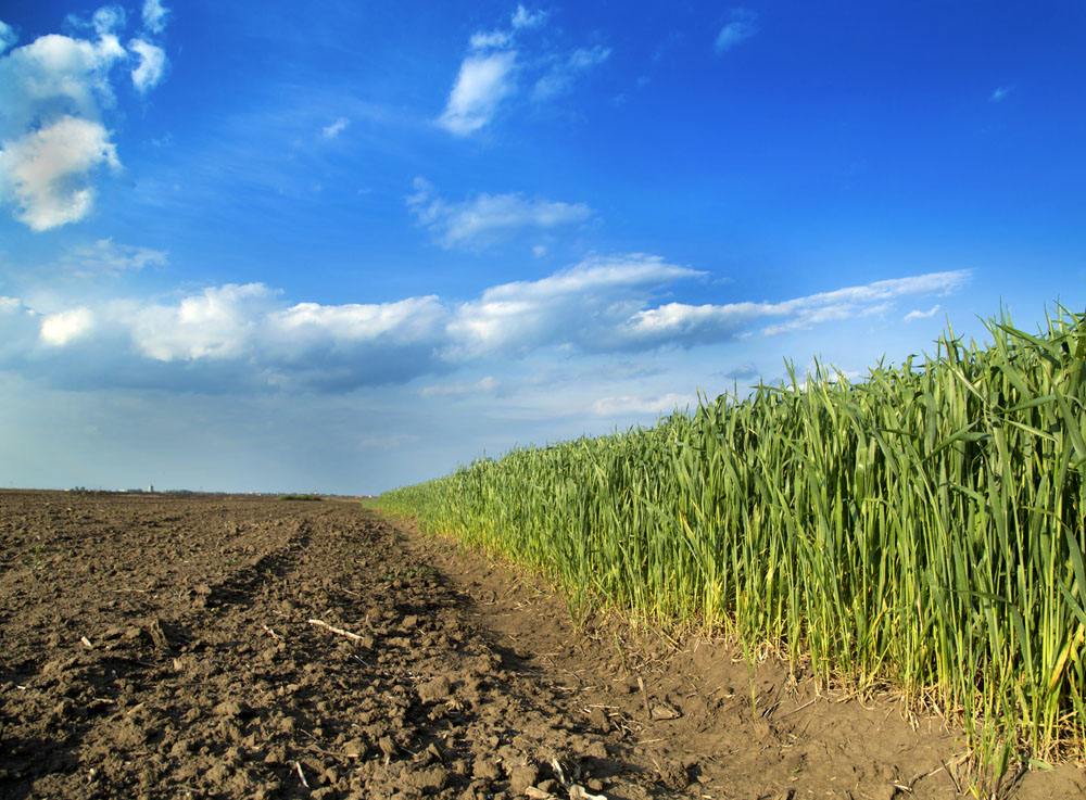 ​农村这“2个证件”即将发放，统一领取要及时，可别耽误了​