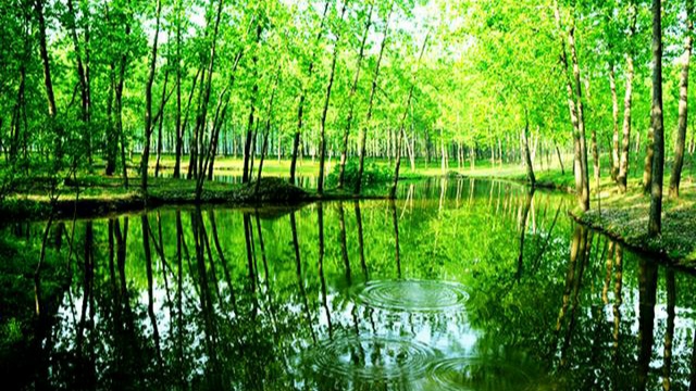 泗阳县体育馆羽毛球场开放时间,泗阳羽毛球馆开放时间