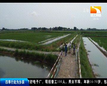 正确养殖小龙虾的方式,同样是养小龙虾你为啥会亏本