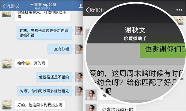 珍爱网运营模式总结,珍爱网运营成功的关键是什么