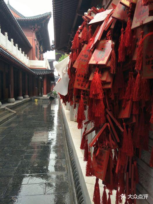 五一郑州哪儿旅游比较好,郑州五一游玩全攻略