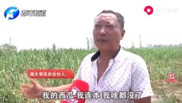 瓜农西瓜被偷要倒赔小偷300元,瓜农西瓜被偷还要赔偿300元