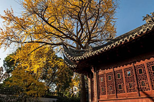 上海古豫园遗址,豫园商城的建筑年代