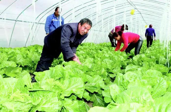 快板脱贫致富奔小康,袁英民快板最新消息