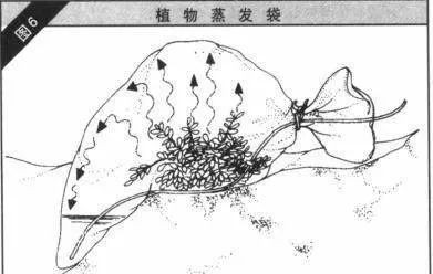 生存小技巧钻木取火,荒野生存取水技巧