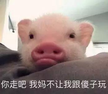 今日最佳笑话100个,短笑话大全20字之内笑死你不偿命