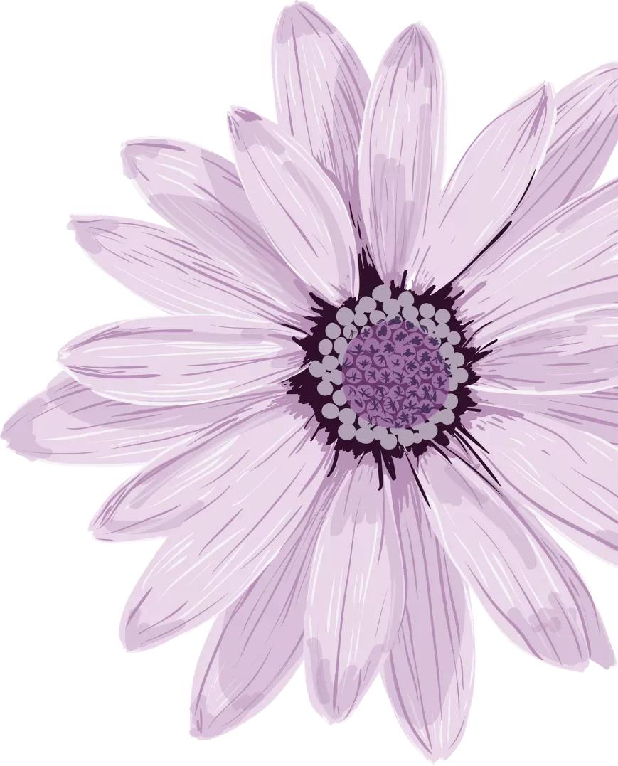 检影什么意思,检影法的意义有哪些