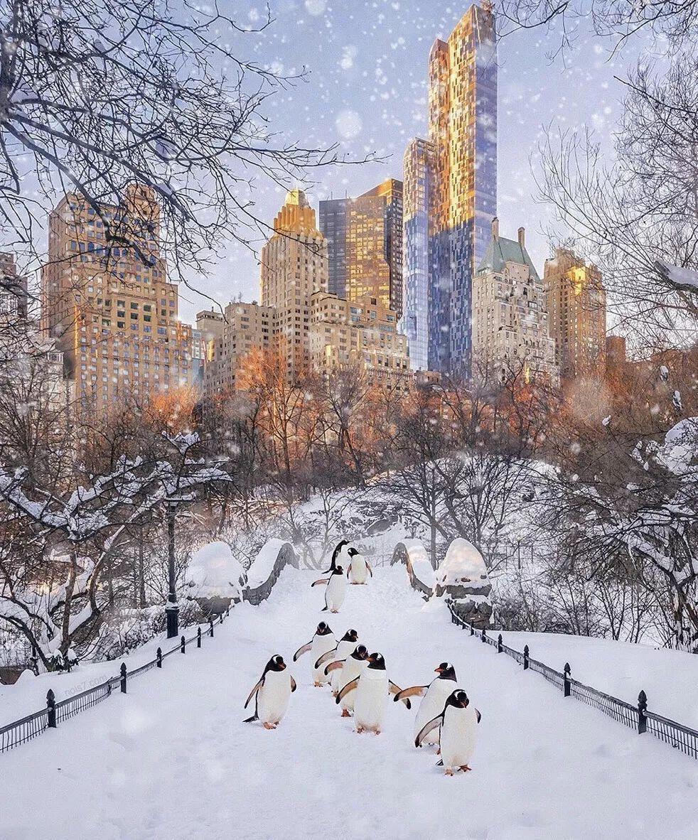 艺术摄影修图,艺术拍照修图