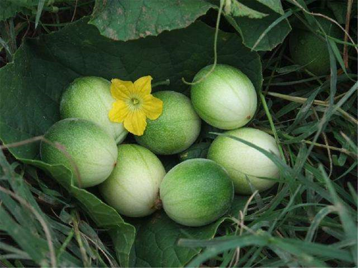 80后经典怀旧零食有哪些,80后怀旧零食大全视频