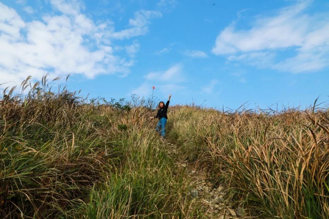 北仑凤凰山森林步道从哪里开始,北仑十大免费景区八大坑森林步道