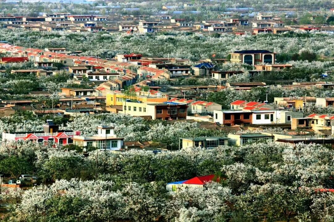 什川鼎尊国际保养中心,甘肃什川鼎尊保养中心