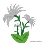 成人看图学英语之各种类型的花