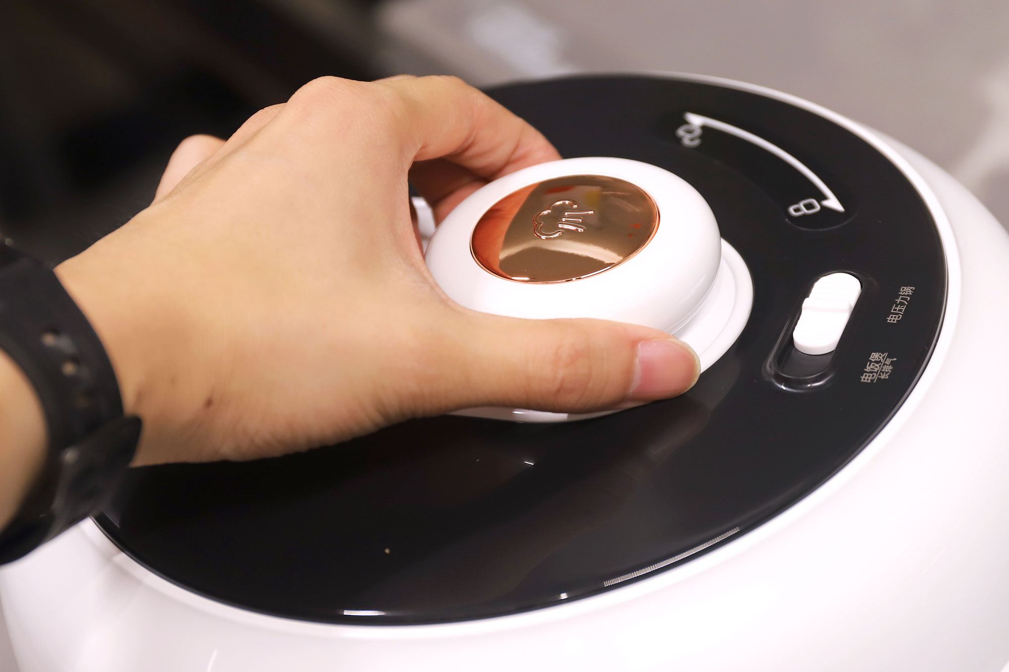 大宇电压力锅炖肉哪个键最好,大宇电压力锅做饭和炖肉不串味吗