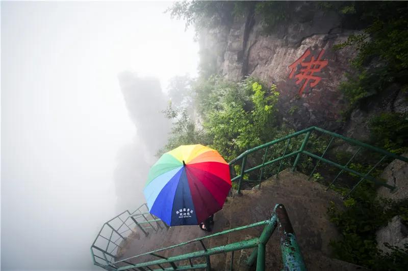 抱犊崮风景区高考门票免费,抱犊崮门票半价政策