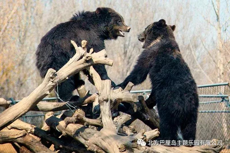 童趣巴厘岛,暑期亲子巴厘岛