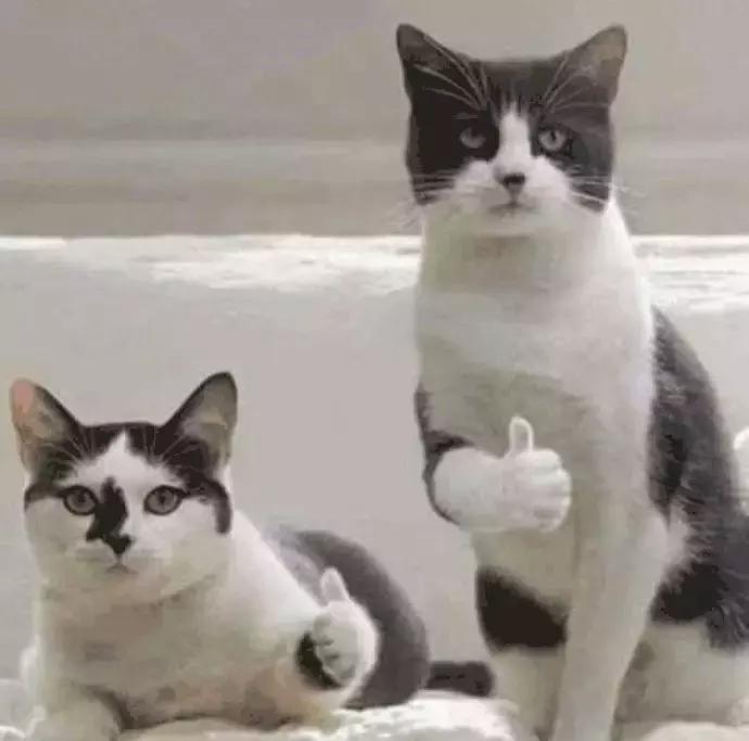 又平价又好用的防晒推荐,夏季平价防晒推荐