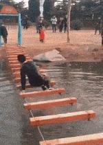 搞笑gif狗子我为这个家操碎了心,搞笑gif图片狗子都开始学坏了