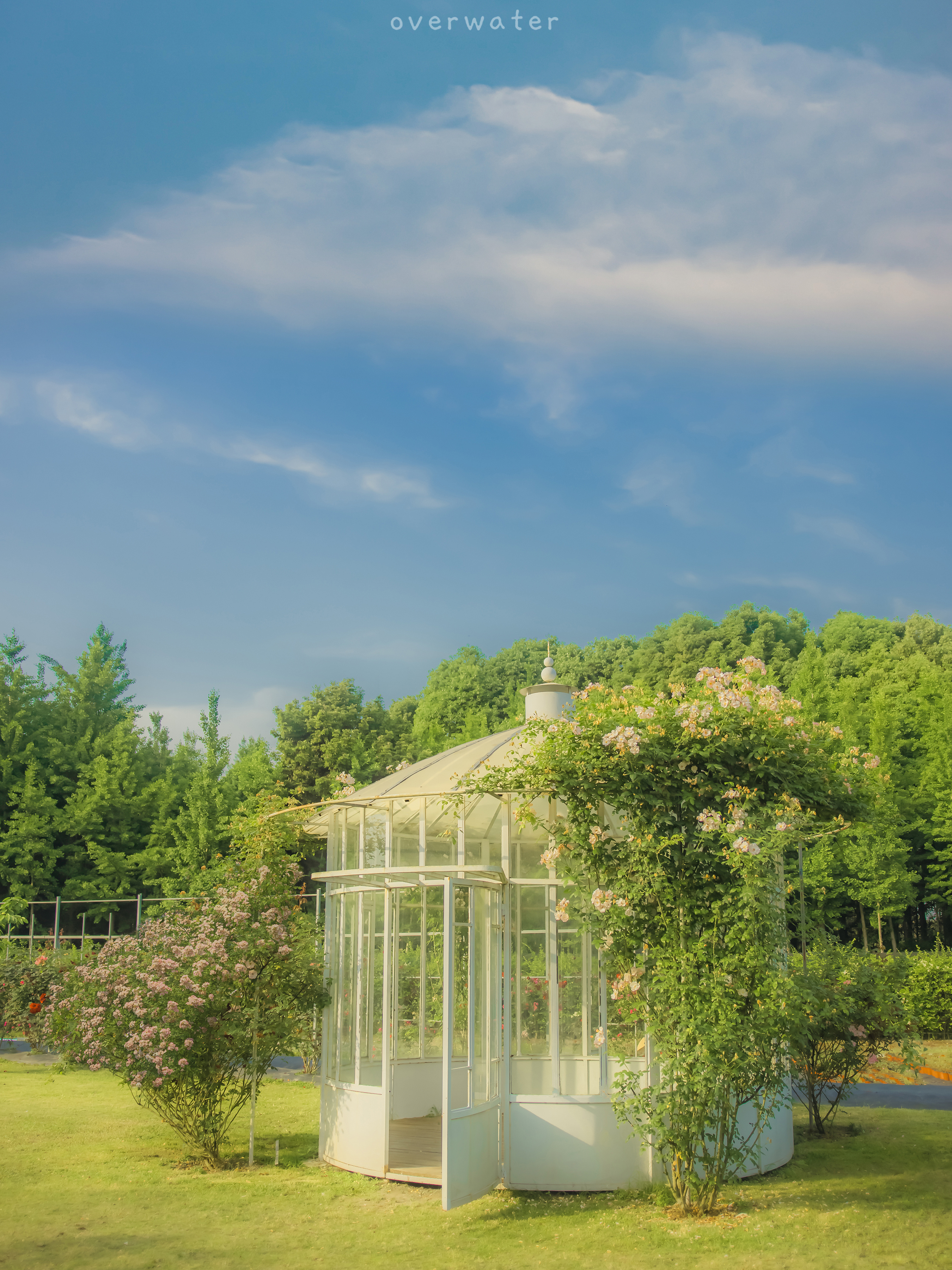 ipad治愈系壁纸超清动物,ipad壁纸唯美清新